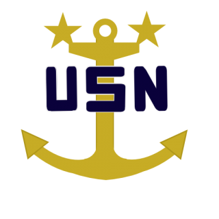 US Navy Pin