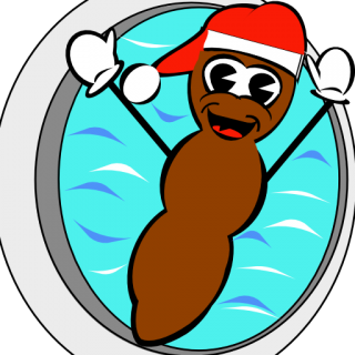 Mr MF Hankey