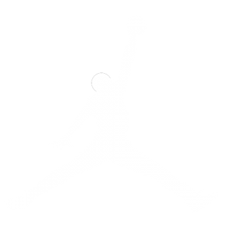 Jordan Logo White