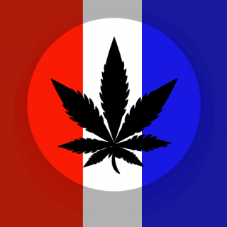 Marijuana croatia