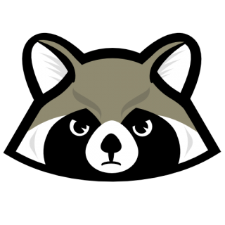 Raccoon