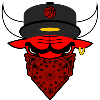 Chicago Bulls
