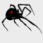 spider