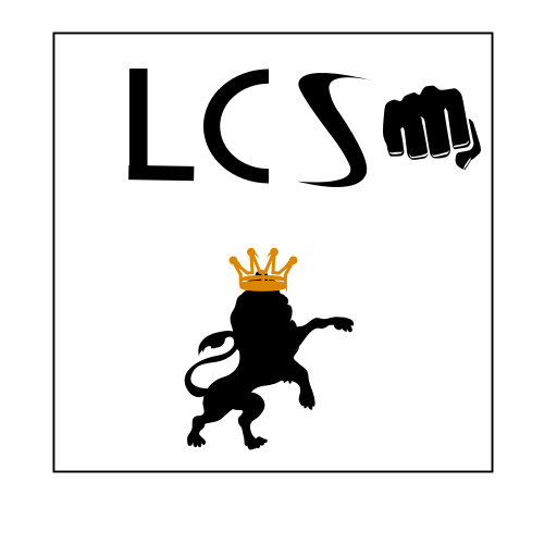 Lcs 385