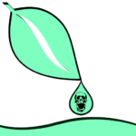 type the describe image