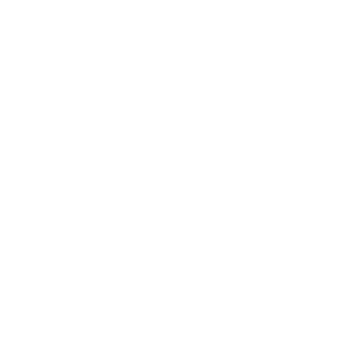 Dragon's Comporation