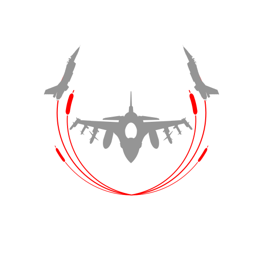 LS Vipers Display Team